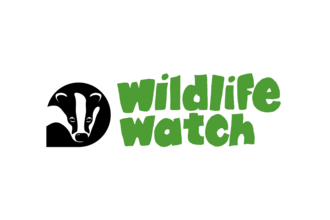 Wildlife Watch header image
