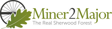 Miner2Major logo