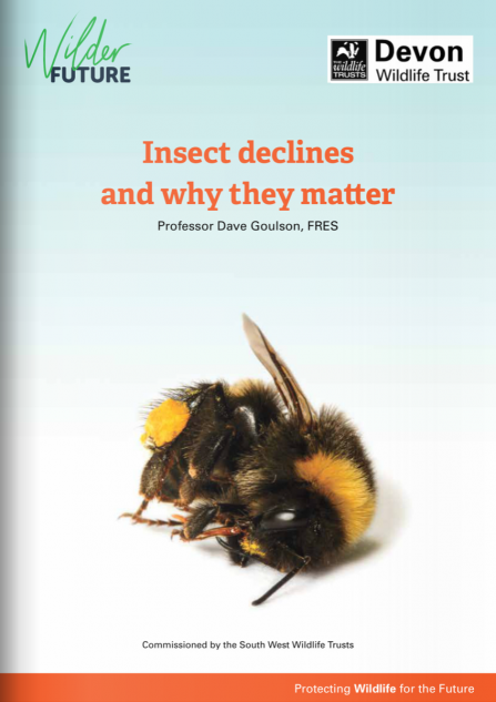 Dave Goulson Insect report cover