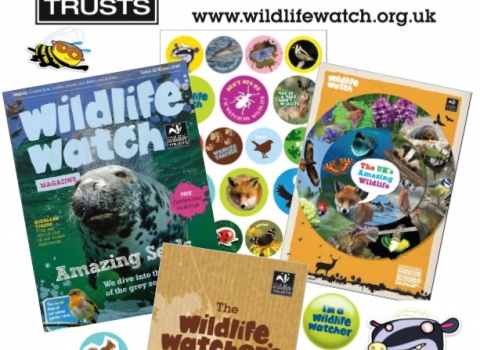 Wildlife Watch Poster