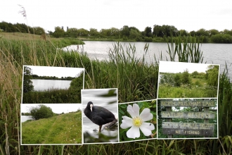 North Muskham Lake NottsWT cpt Tony Summers