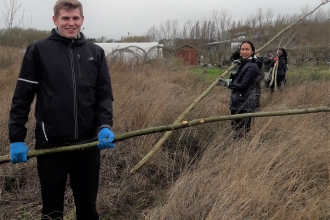 Staff from Park Plaza get to grips with the replacement willow trees