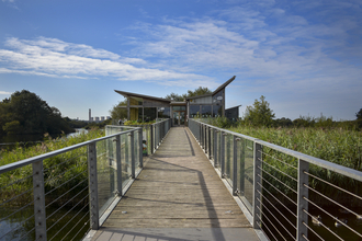 Attenborough Nature Centre DSC_0283 EDITED.jpg