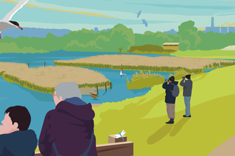 An illustration of the Attenborough Nature Reserve lansdcape. Terns flying, swans swimming, people birdwatching and families walking along paths.
