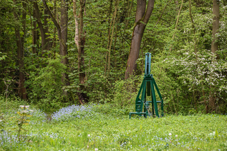 Nodding donkey amongst trees and spring flowers