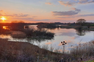 Sunset over wetlands