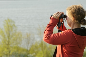 Woman birdwatching using binoculars