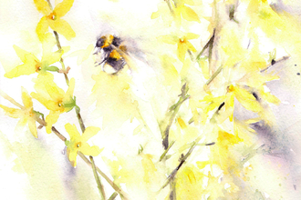 Bee watercolour