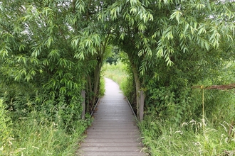 Archway at Idle Valley