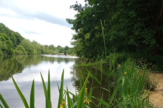 The lake at Vicar Water