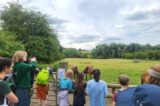 Young nature volunteers looking out into field with ponies