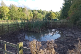 Meadow pond with a traditional wooden rail fence around it.