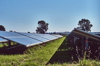 Solar panels in rows in a field with blue sky above, with trees in the background