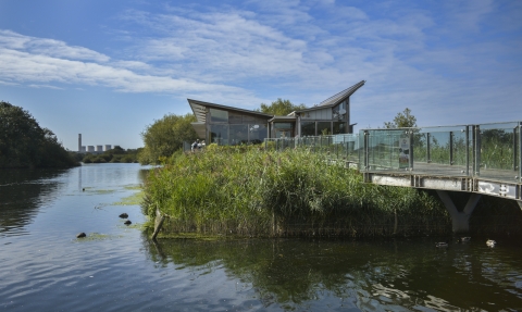 Attenborough Nature Centre DSC_0287EDITED.jpg