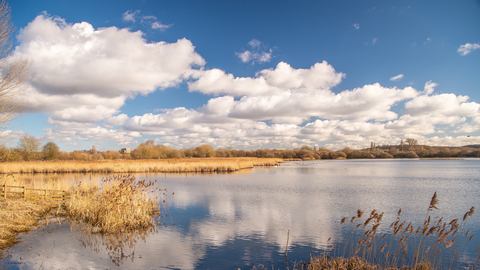 Wildlife Trust updates on the closure of Works Bridge at Attenborough ...