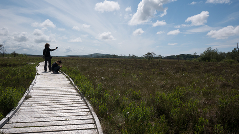 Raised bog