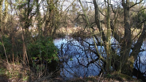 Lady Lee Quarry