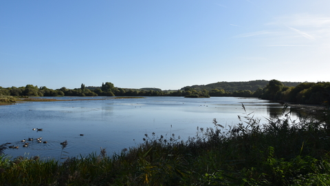 View of lake at Attenborough Nature Reserve