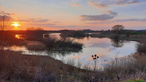 Sunset over wetlands