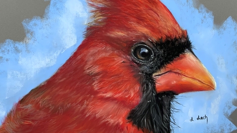 Painting of red and black bird