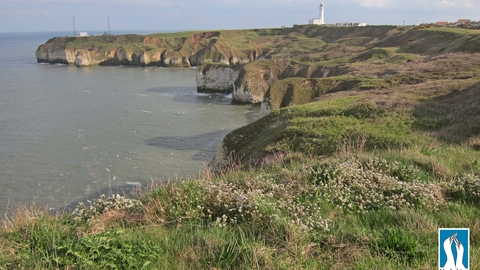 A view of Flamborough coastline, with lighthouse in background
