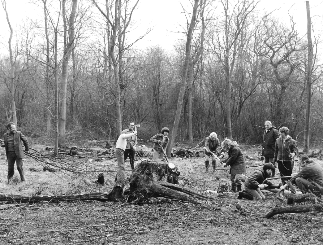 60th Anniversary | Nottinghamshire Wildlife Trust