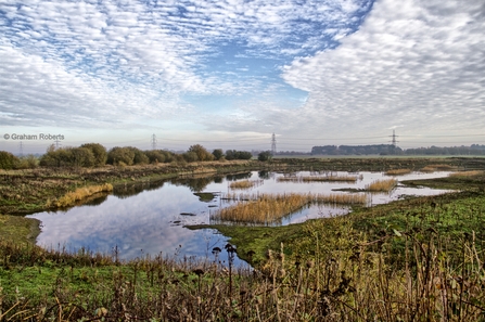 A view across the wetlands at Besthorpe