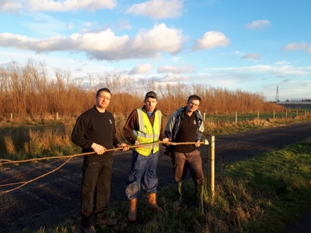 Staff and Volunteers from Idle Valley Nature Reserve inspecting one of the damaged trees