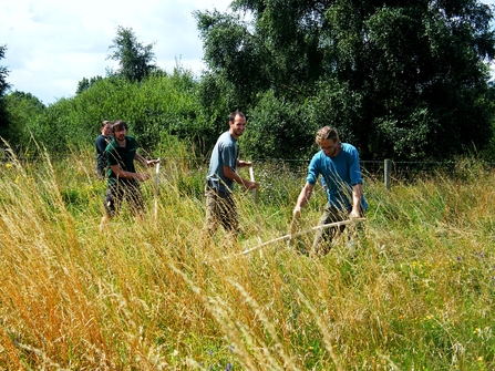 Volunteers scything at Idle Valley Reserve