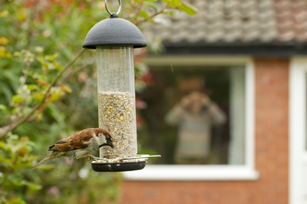 wildlife trust bird feeders