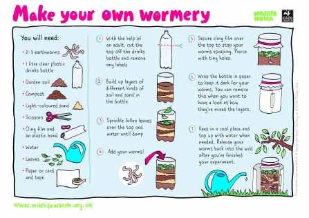 Wormery diagram