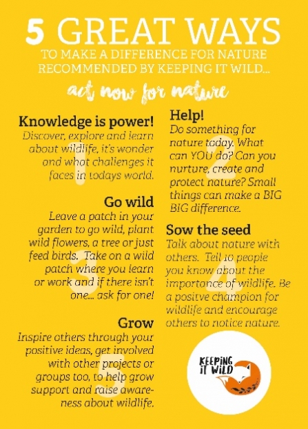 Keeping it Wild 5 great ways