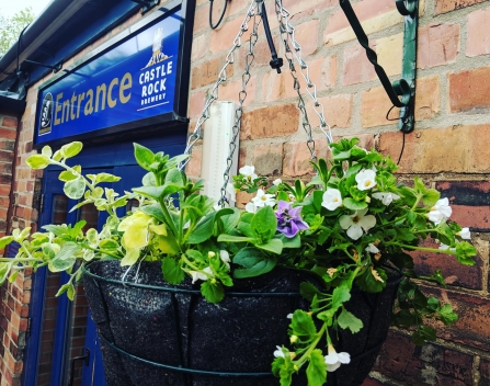 Hanging basket at the bread and bitter