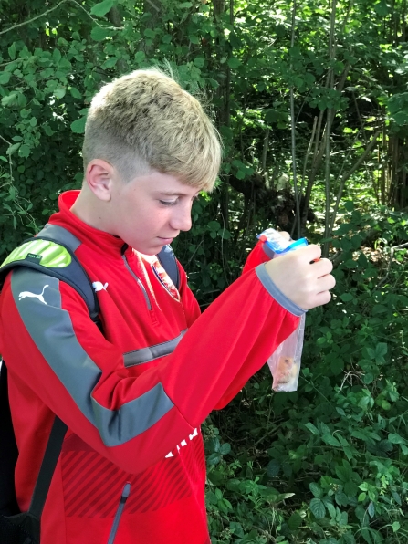 Joe Barks of Keeping It Wild surveying dormice