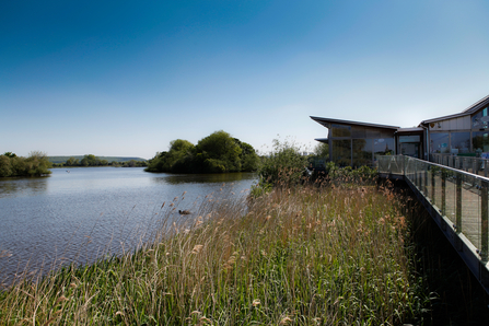 A view of Attenborough nature centre and reserve from the end of the walkway