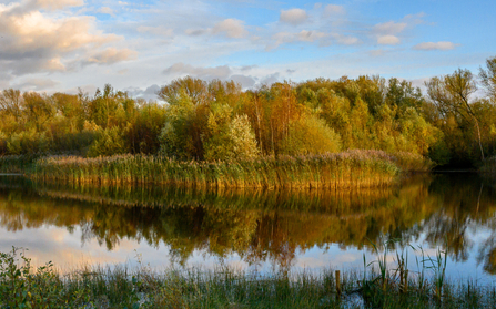 Lake near the beaver area at Idle Valley