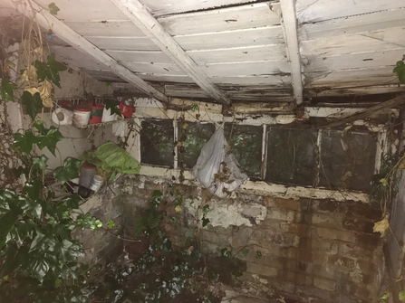 Shed, to be converted into overwintering habitat for wildlife.