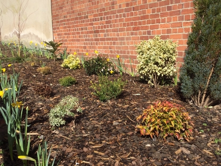 Basford Road Church garden