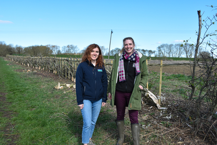 Working with farmers - hedgerows | Nottinghamshire Wildlife Trust