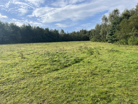 Field near woodland