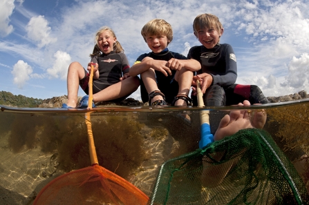 Children rockpooling