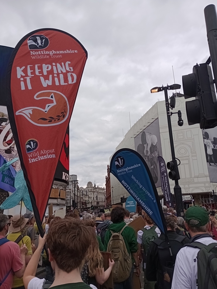 KIW and NWT flags at the march