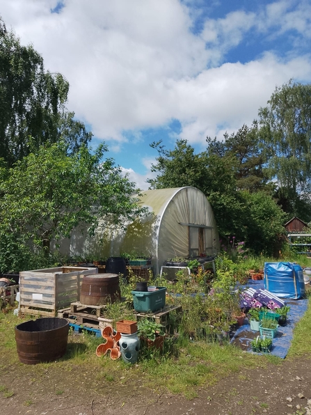 Gardening materials outside a greenhouse at Oasis Community Centre