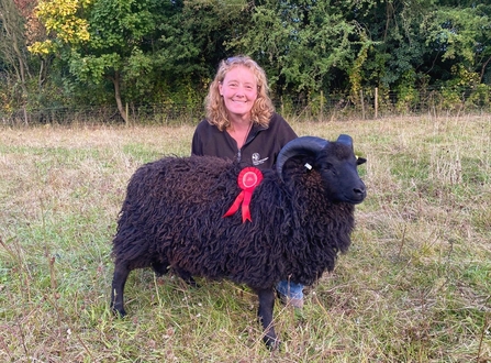 Hebridean lamb ram with handler