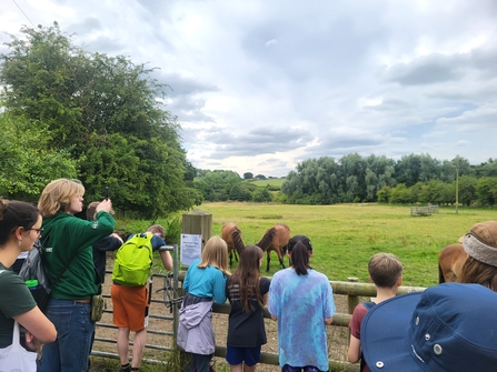 Young nature volunteers looking out into field with ponies