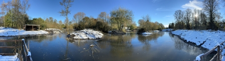 wetland landscape