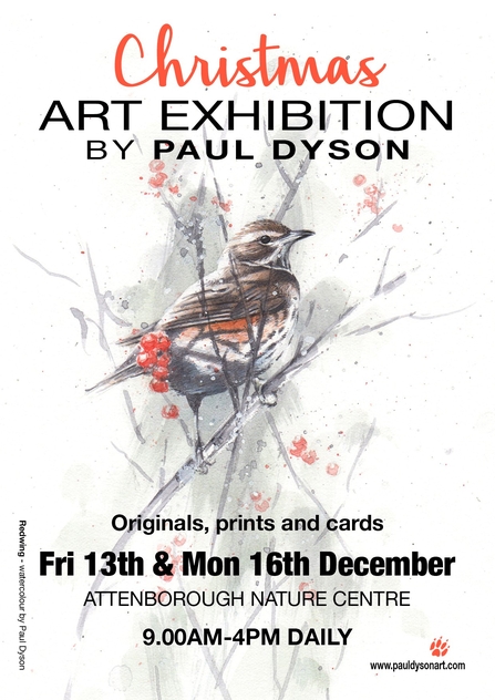 Christmas Art Exhibition by Paul Dyson, originals, prints and cards. Fri 13th & Mon 16th December, Attenborough Nature Centre, 9-4 Daily