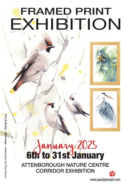 Framed Print Exhibition January 2025 6th to 31st January Attenborough Nature Centre Corridor Exhibition