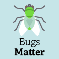 Bugs Matter - stylised illustration of a fly