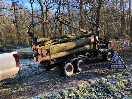 felled tree trunks on a trailer